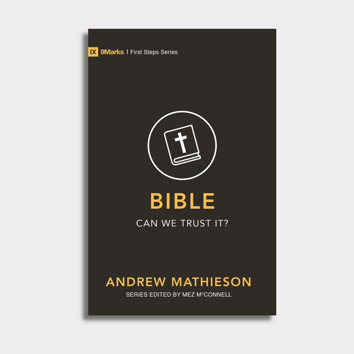 Bible – Can We Trust It?
