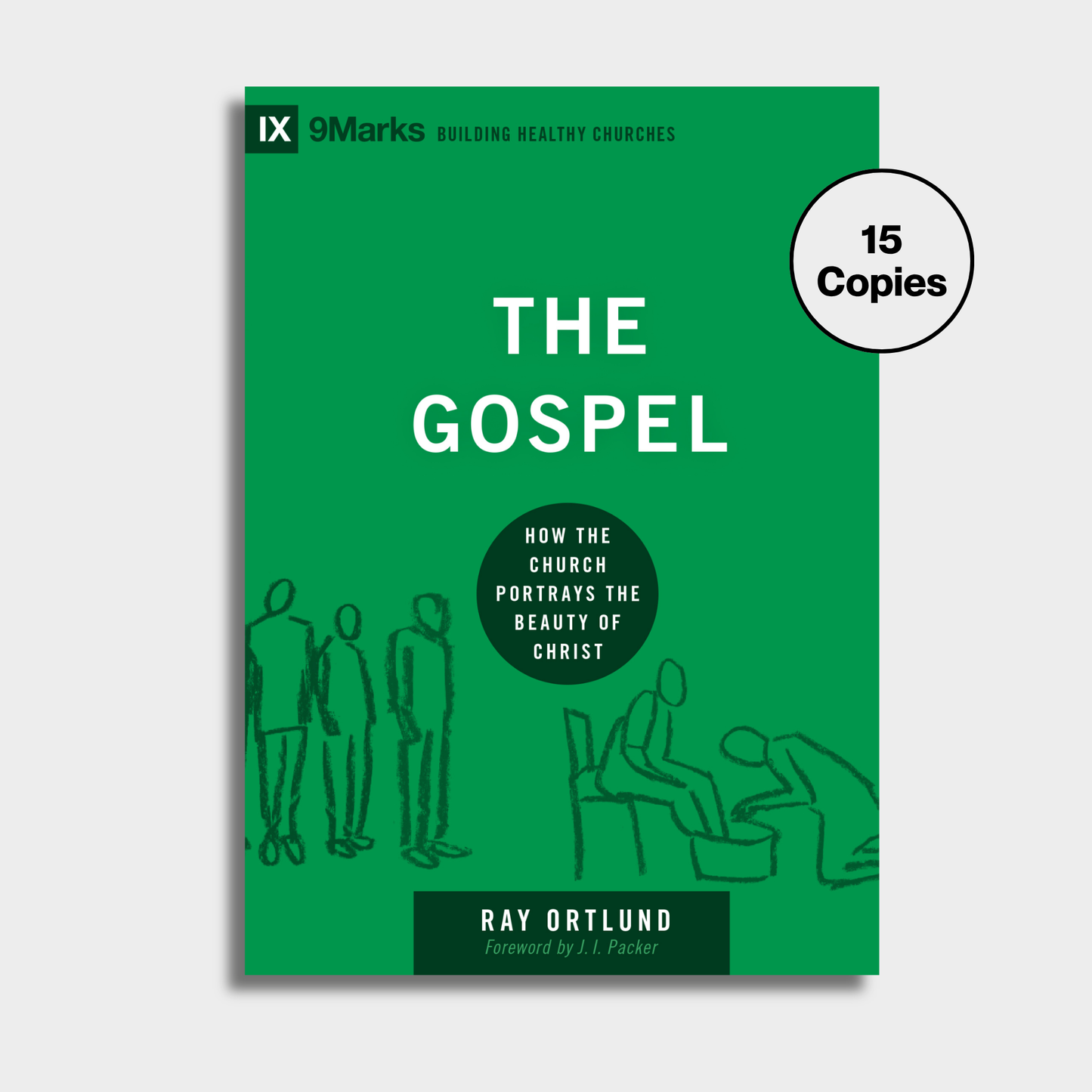 The Gospel Bundle (15 Copies)