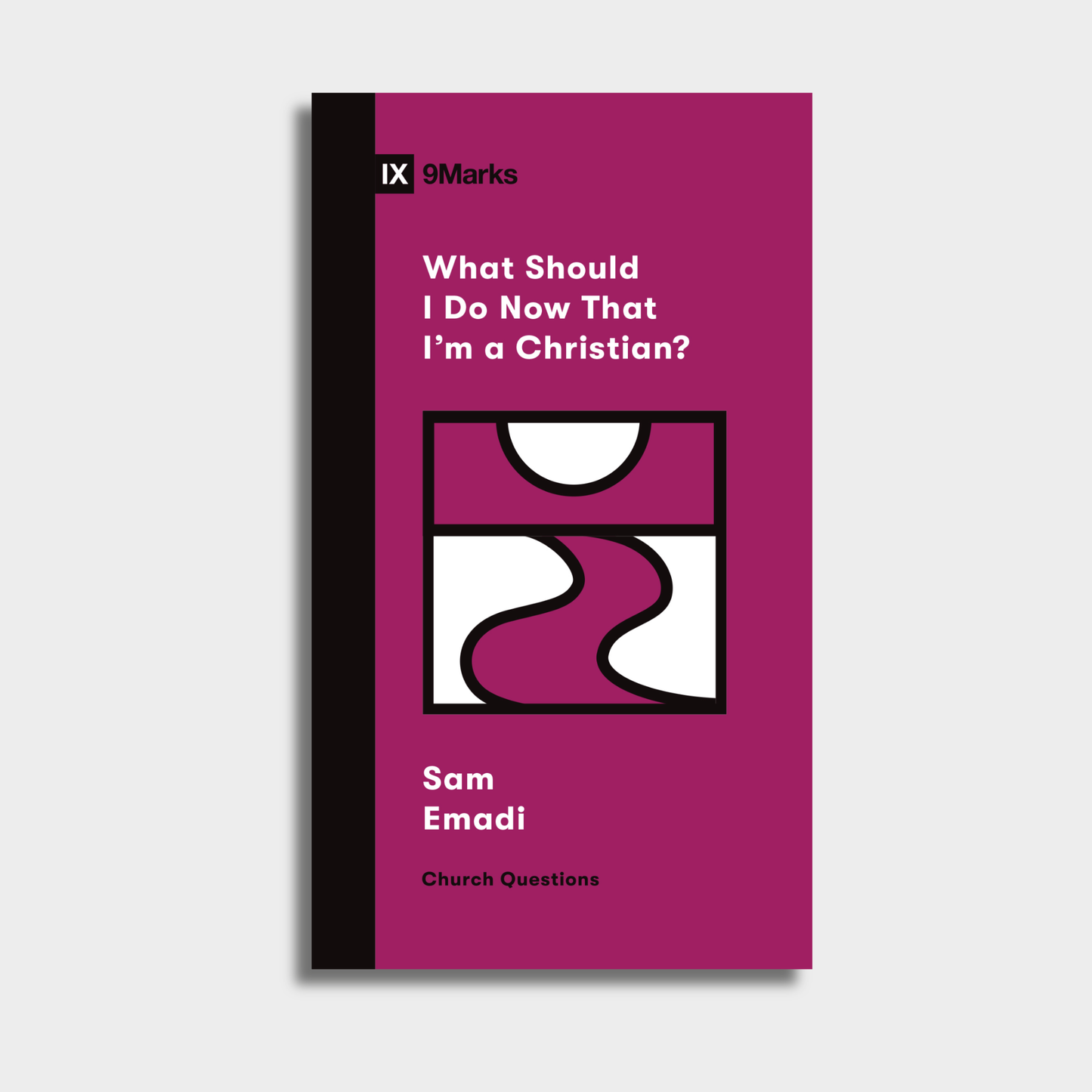 What Should I Do Now That I'm a Christian?