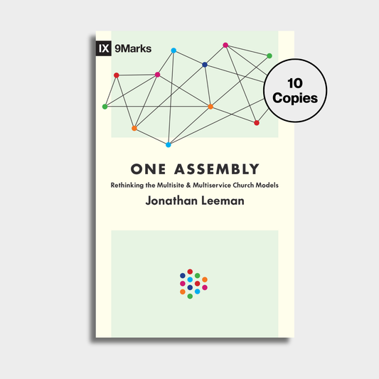 One Assembly Bundle (10 copies))