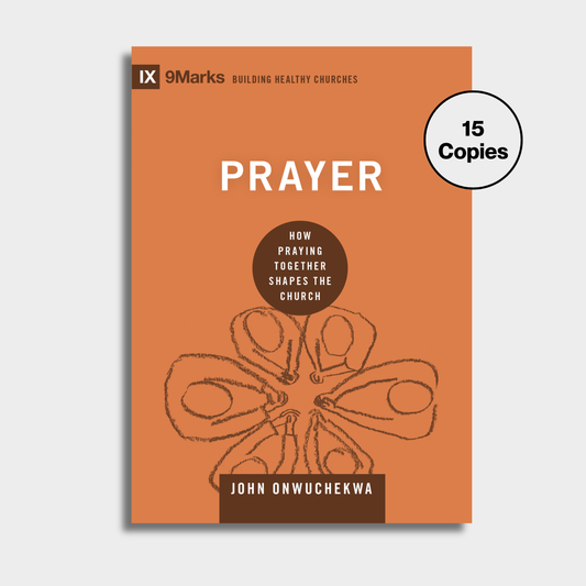 Prayer Bundle (15 Copies)