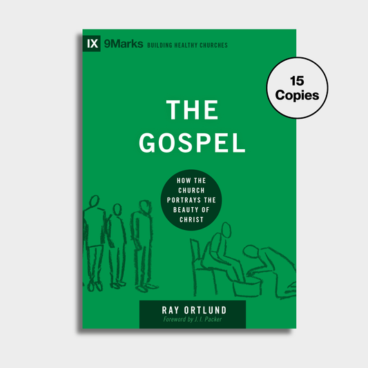 The Gospel Bundle (15 Copies)