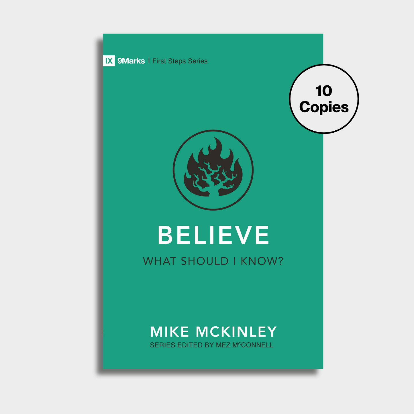 Believe – What Should I Know? Bundle (10 Copies)