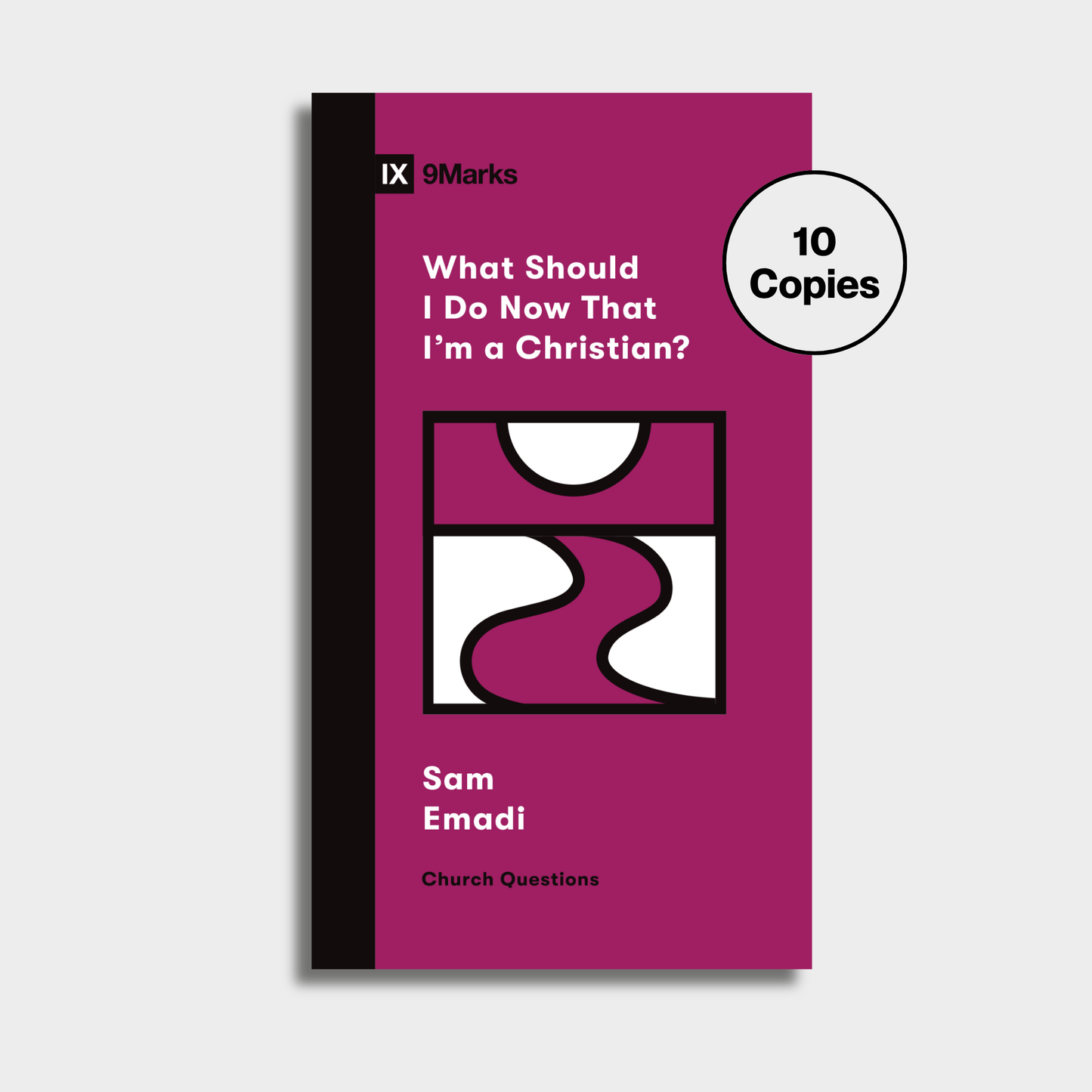 What Should I Do Now That I'm a Christian? Bundle (10 Copies)