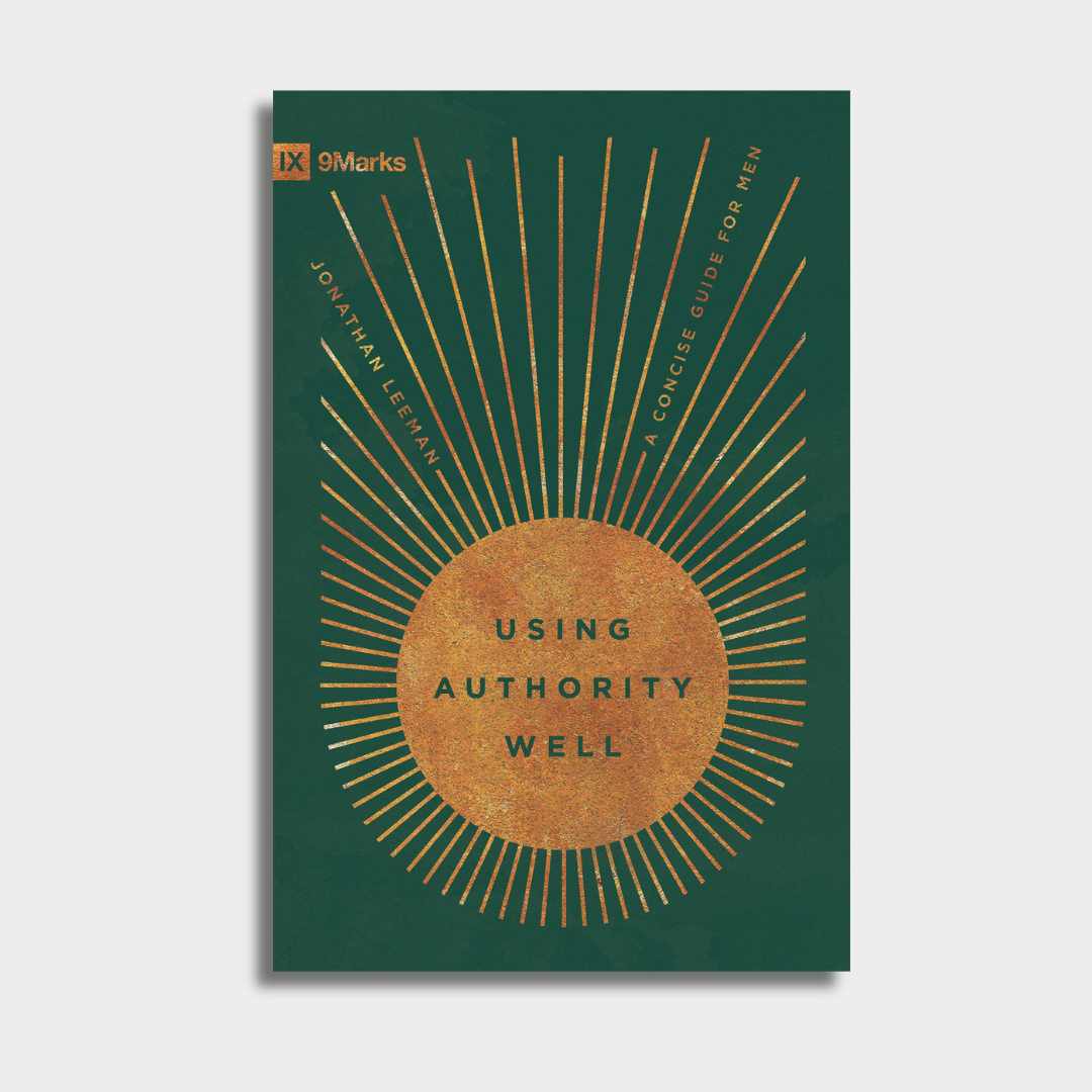 Using Authority Well: A Concise Guide for Men (PREORDER)
