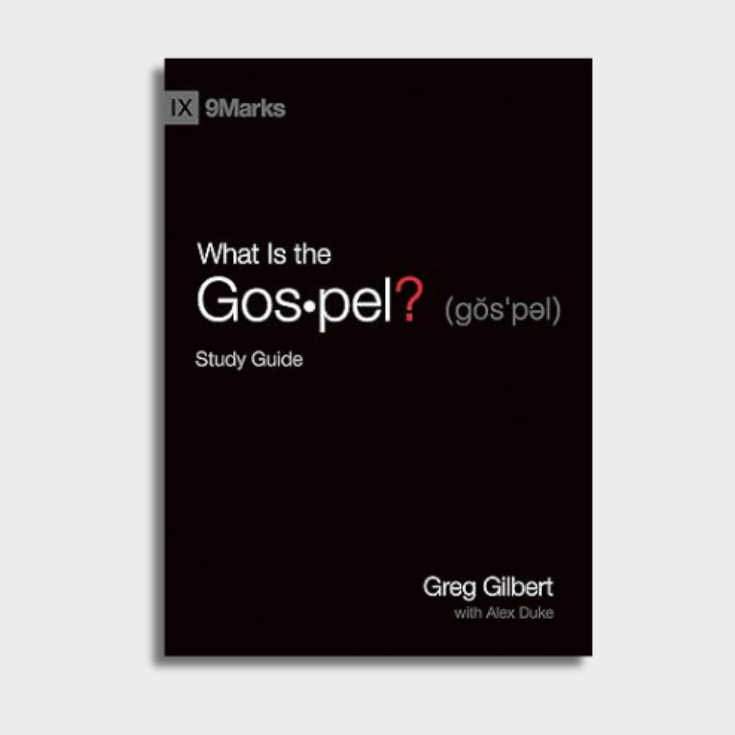 What is the Gospel? Study Guide