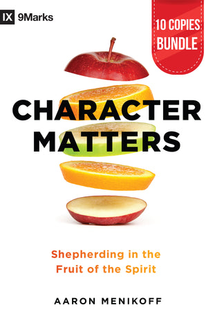 Character Matters Bundle Cover