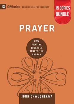 Prayer 15 Copies Bundle