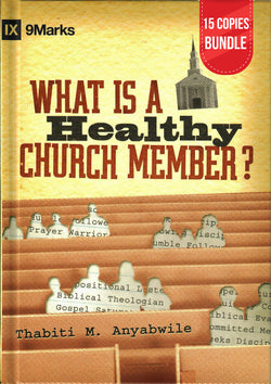 What is a Healthy Church Member? Small Group Bundle (15 Copies)